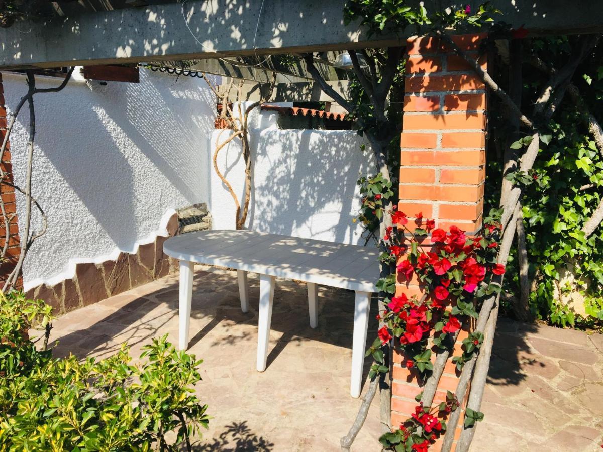 Apartamentos Tres Playas Altamar Alcossebre 외부 사진